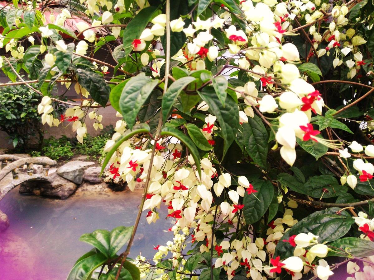 Js Hotspring Hotel Ruisui Bagian luar foto